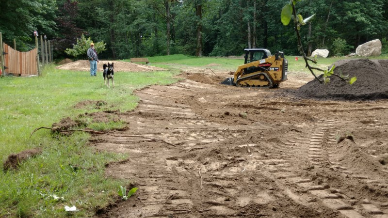 2020-02-20+regrade+5.jpg